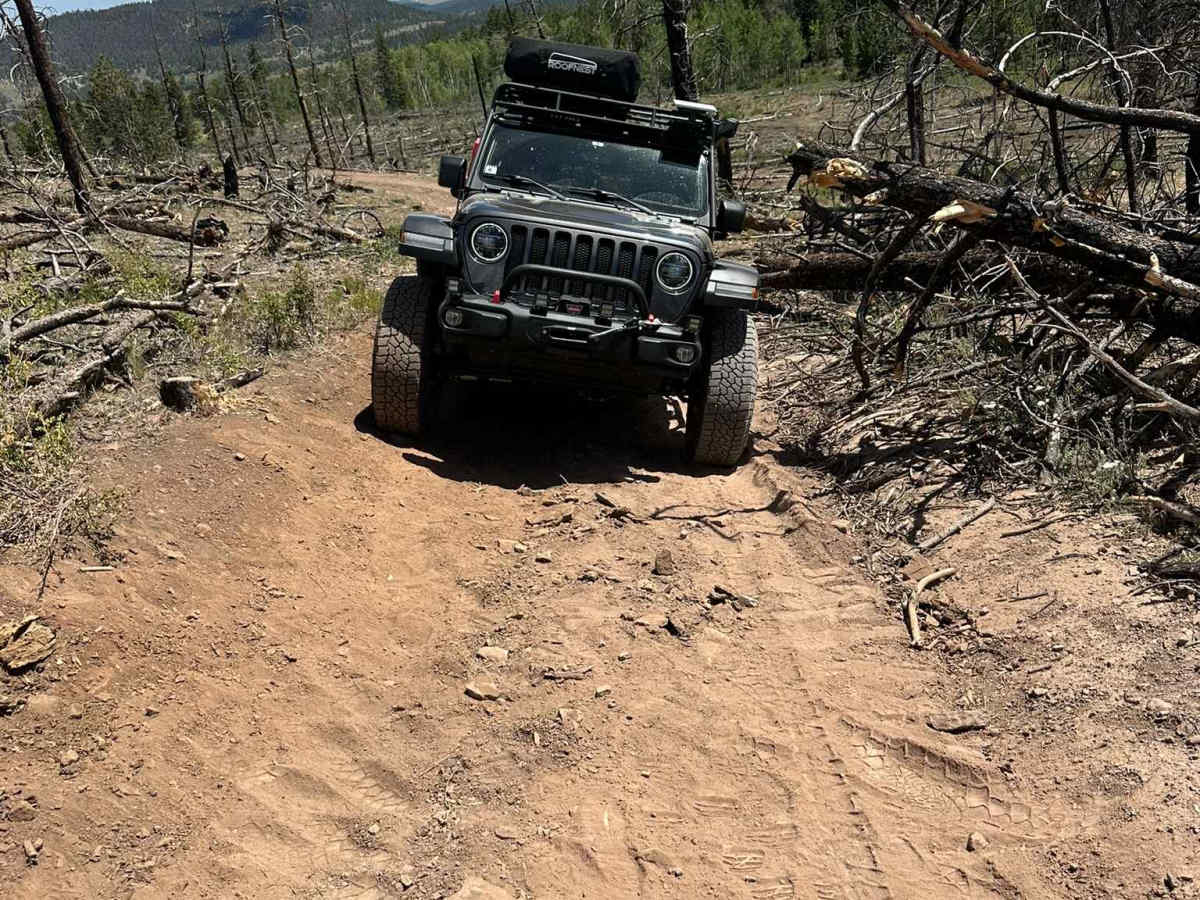 Pony Creek Road photo 5