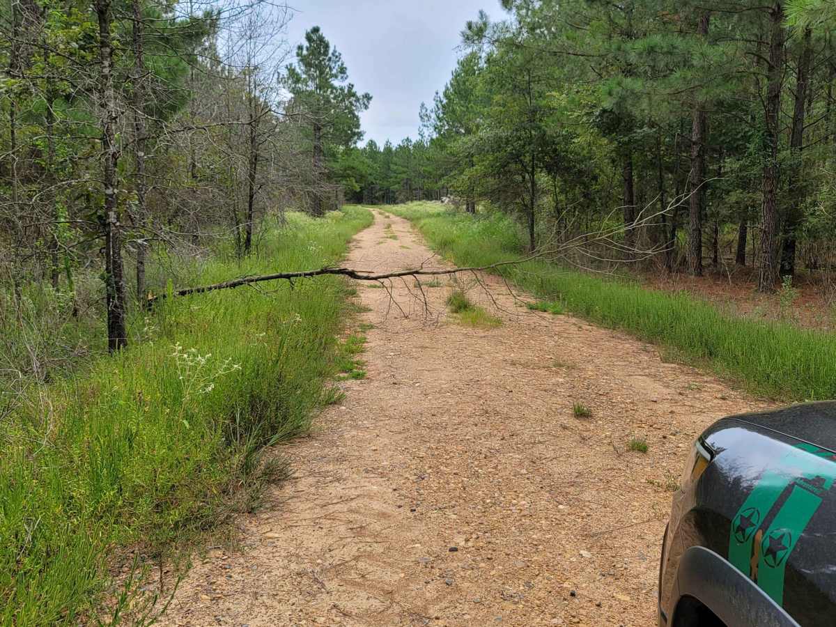 Bois d'Ark Trail back to Interstate 30 photo 5