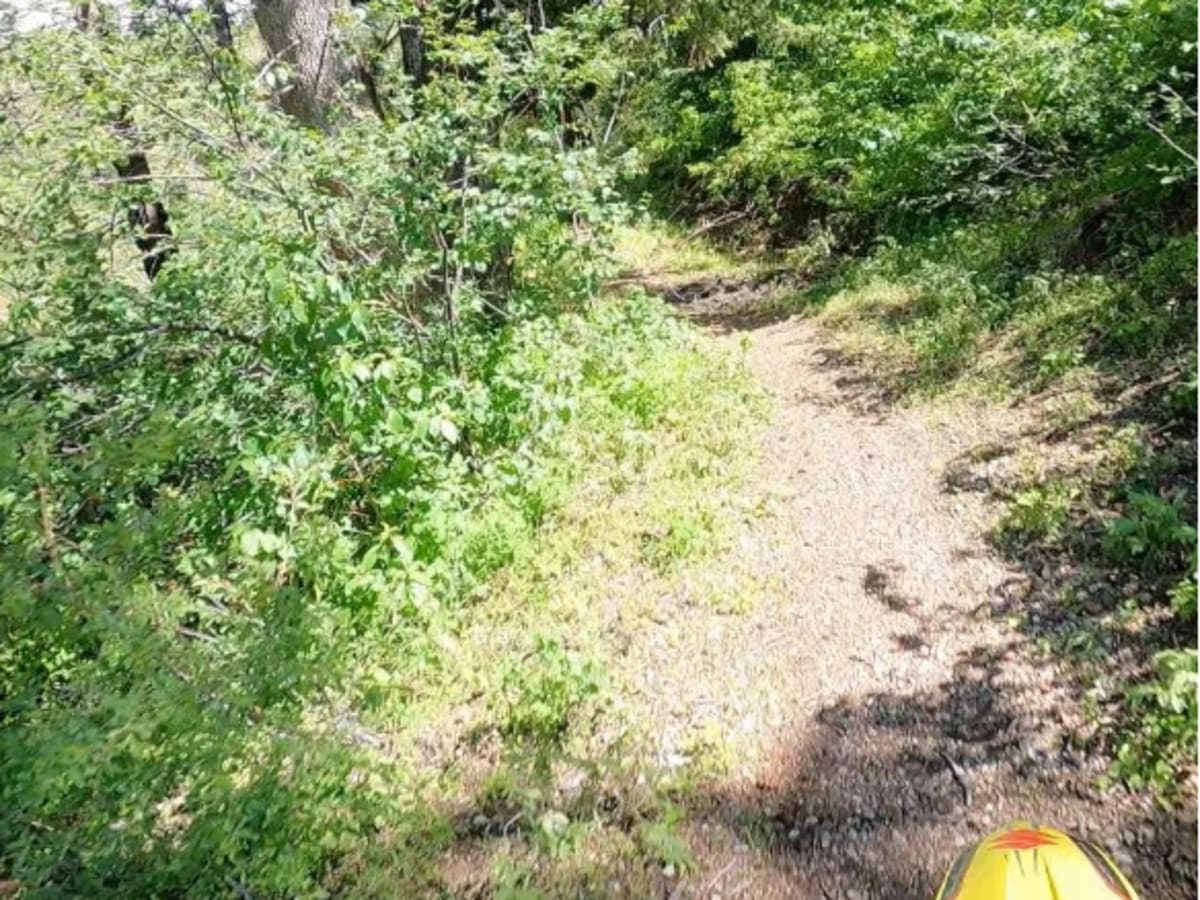 Green Creek Trail photo 2
