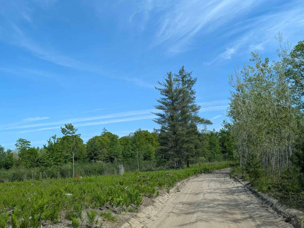 Spoelma Road photo 6