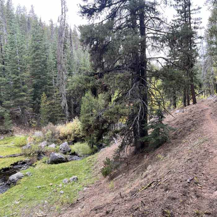 Near Crooked Creek Peak