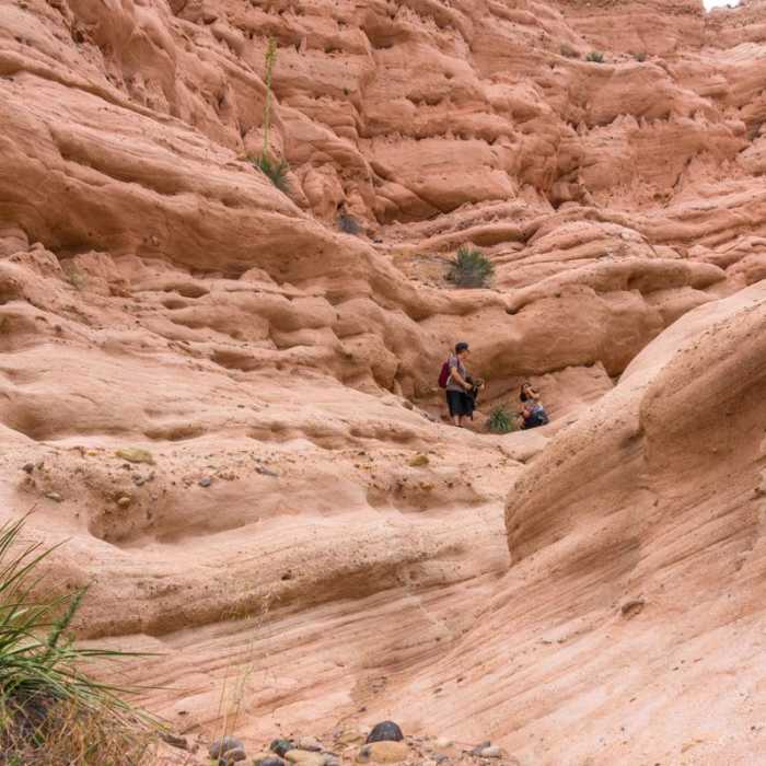 Near Borrego Canyon + Red Rock Canyon Trails