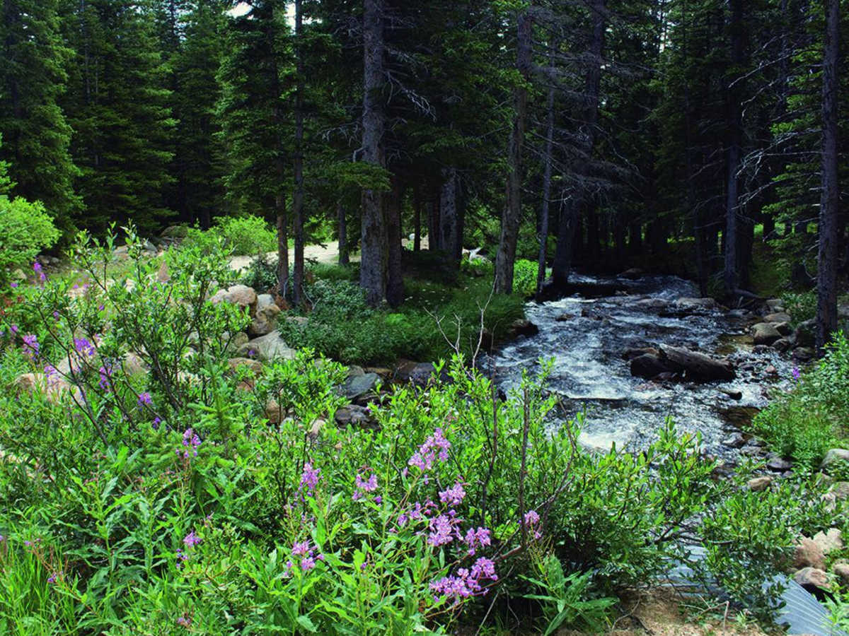 Chinns Lake photo 5