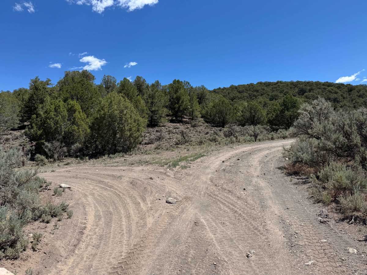 BLM 8480 photo 5
