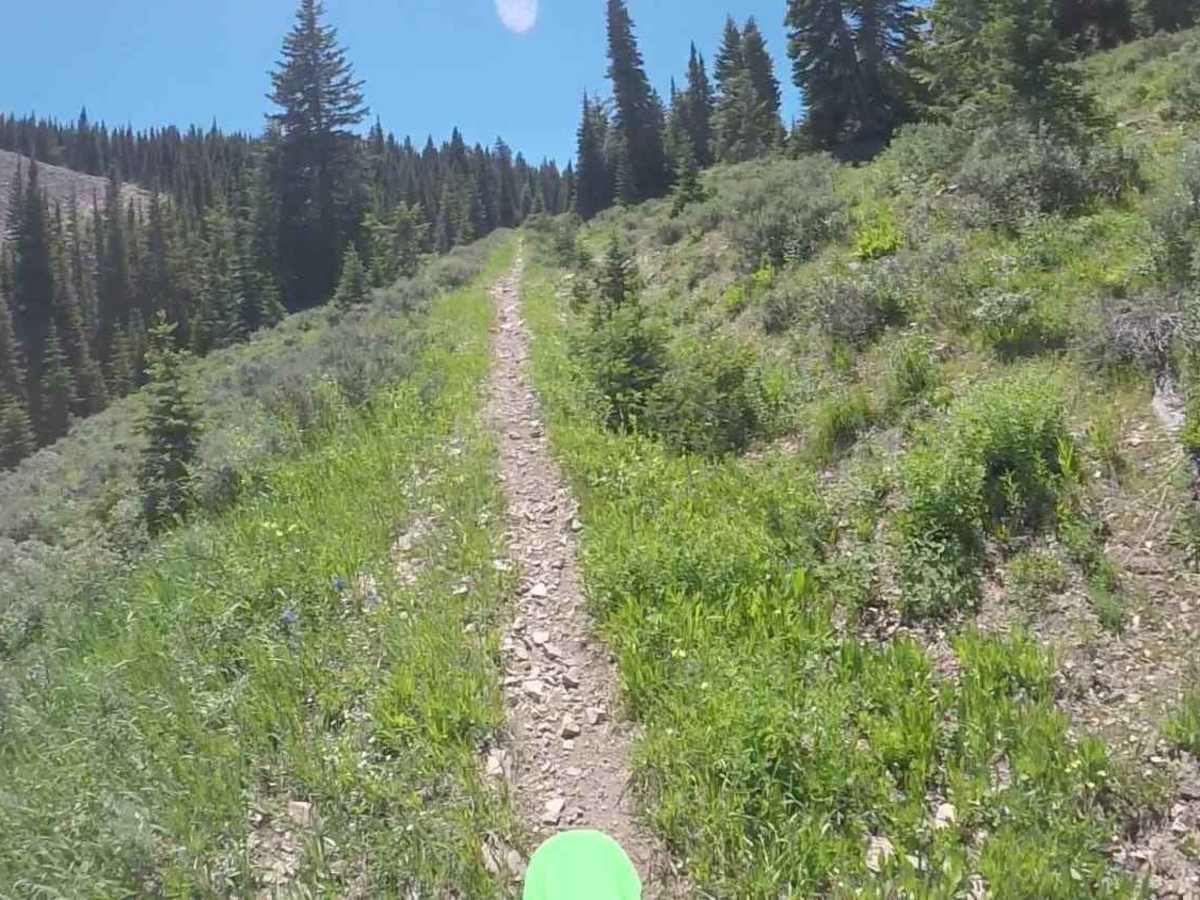 Elk Ridge Mtn photo 4