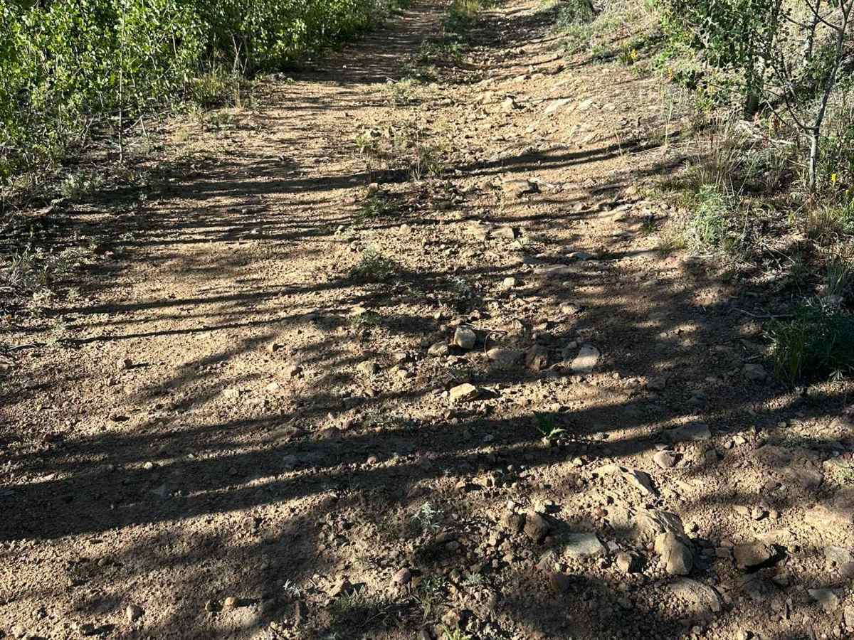 Kinney Creek Road trail photo