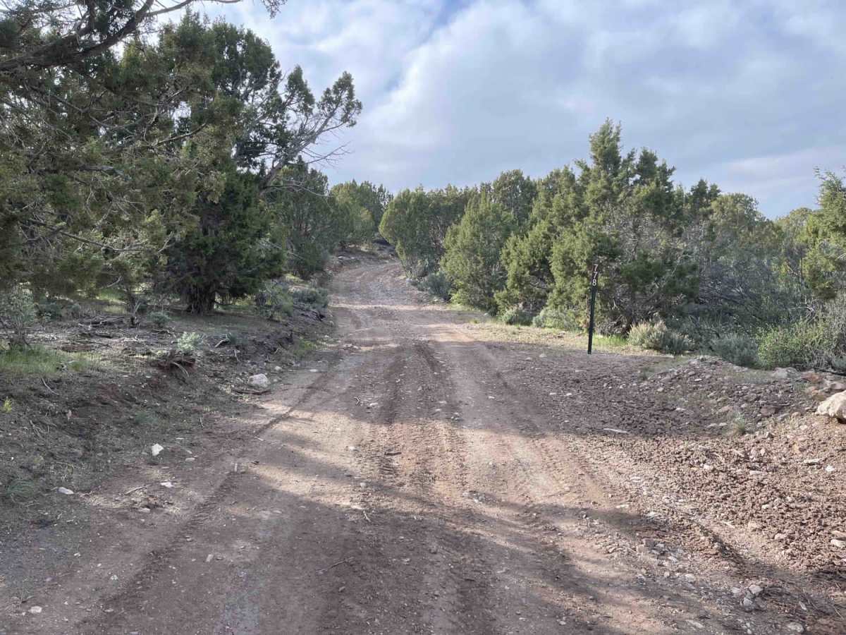 Twin Springs Ridge photo 5