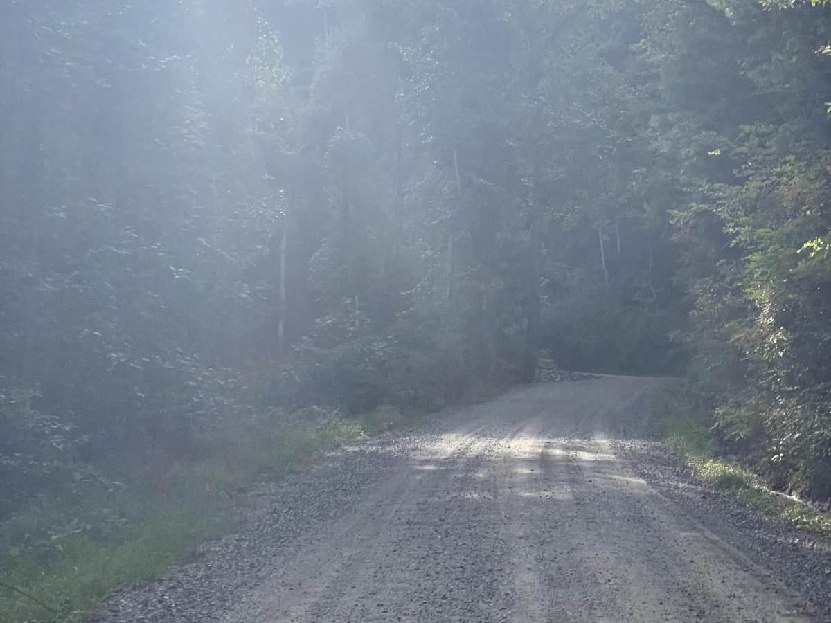 Little Bald Mountain  photo 4
