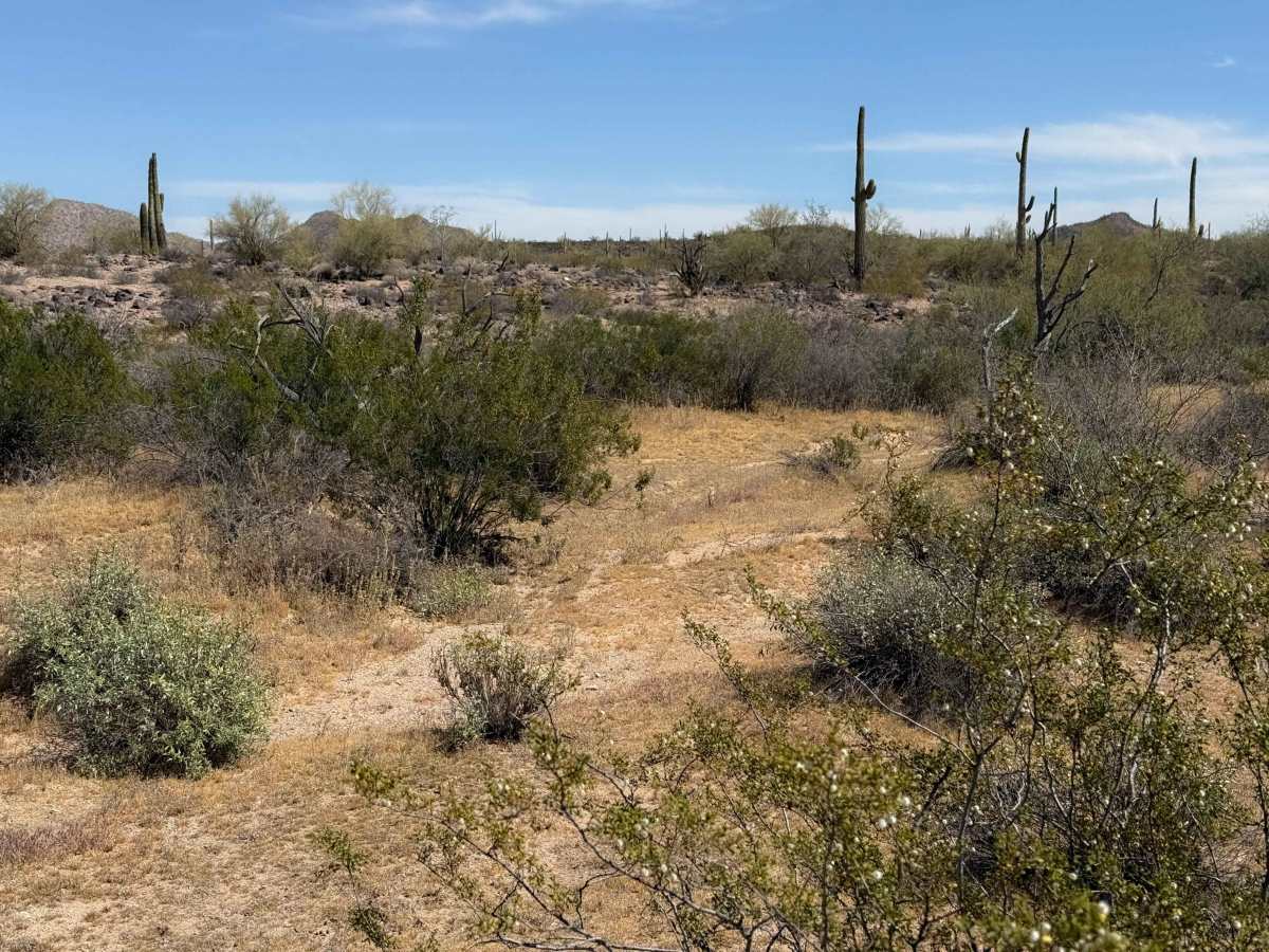 Hidden Valley  photo 5
