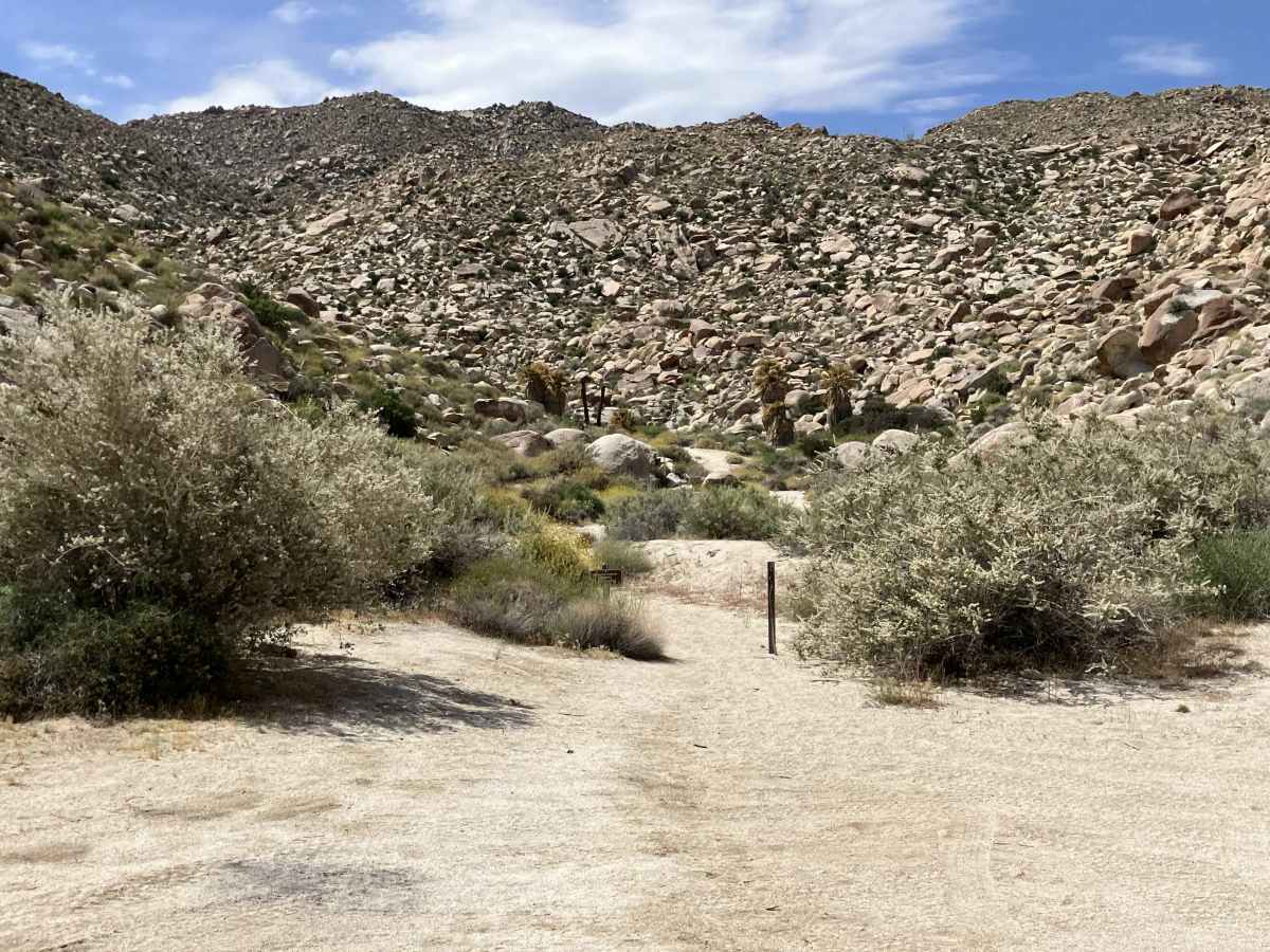 Indian Valley South Fork trail photo