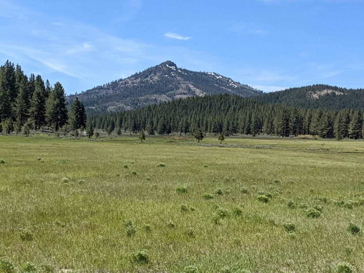 Beckwourth Tie - NF23N03Y trail photo