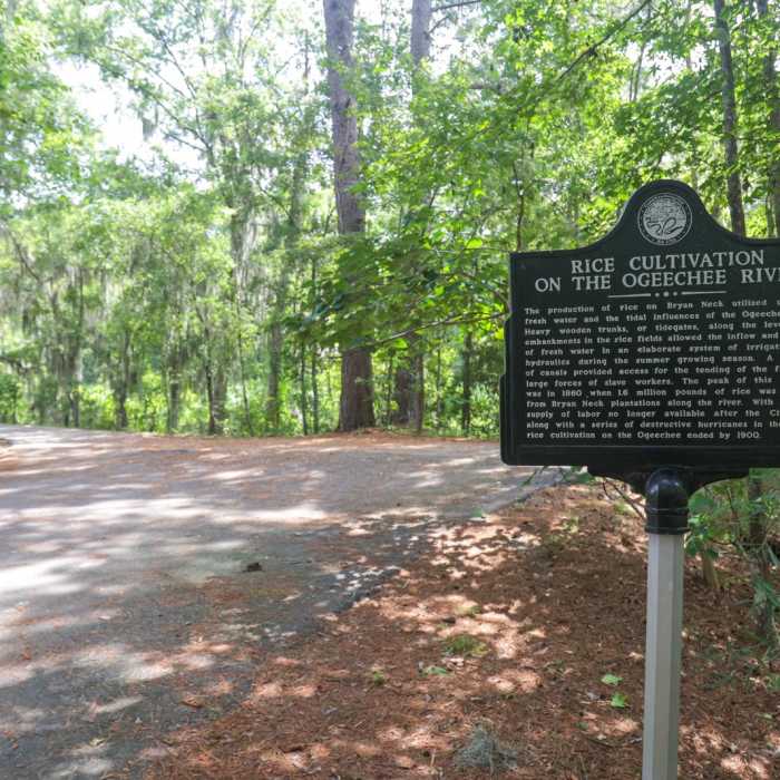 Near JF Gregory Wetlands Loop Near JF Gregory Wetlands Loop