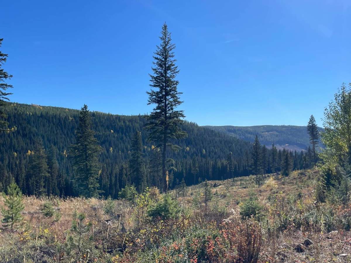 Philpot FSR - Ideal Lake to Highway 33 trail photo
