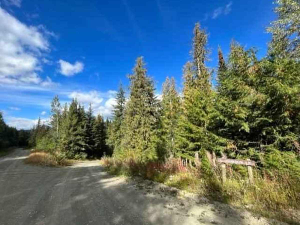Johnson Lake Road photo 4