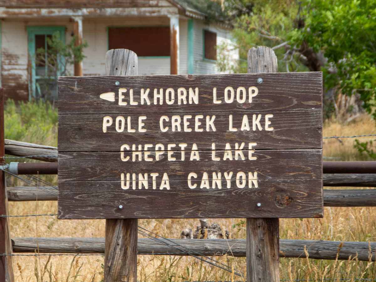 Elkhorn Loop - FS 10117 photo 2