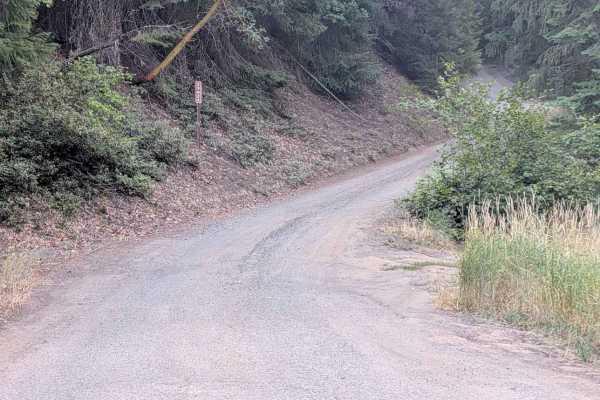 McFarland Ridge Road - FS 29N25