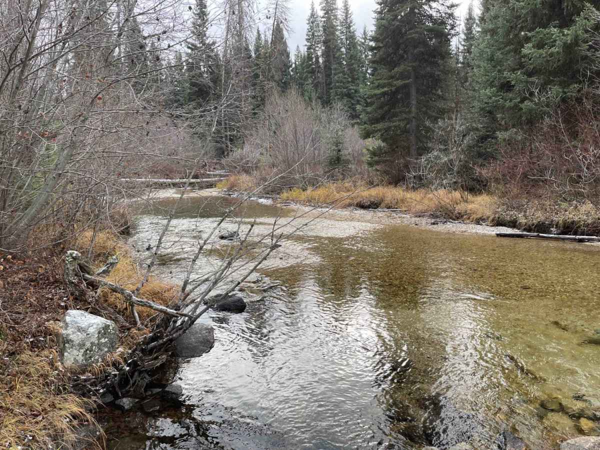 Trapper Trailhead Side Trail photo 2