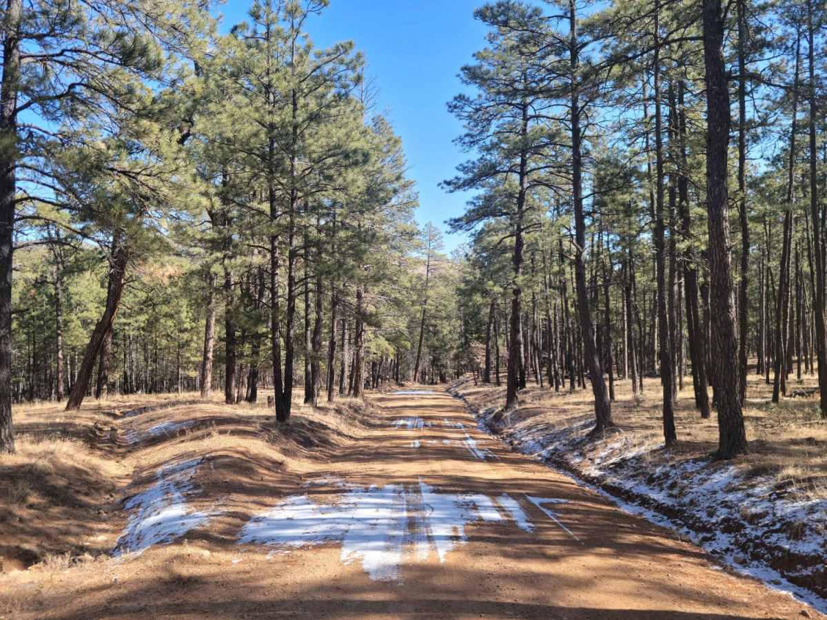 Red Cloud Trail photo 5