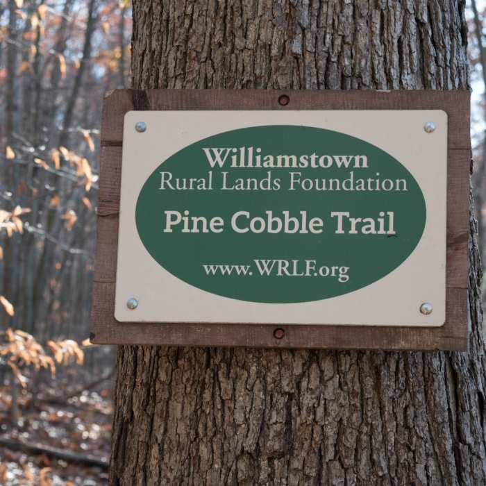 Near Pine Cobble Trail