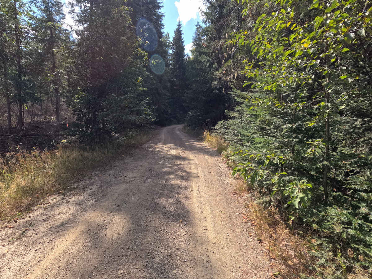 Bead Lake Road - FS 318 photo 3