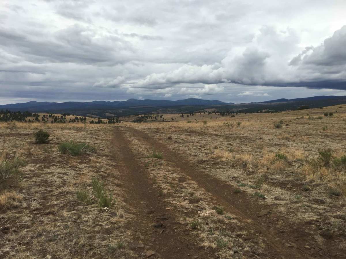 Gila Headwaters Overlook photo 2