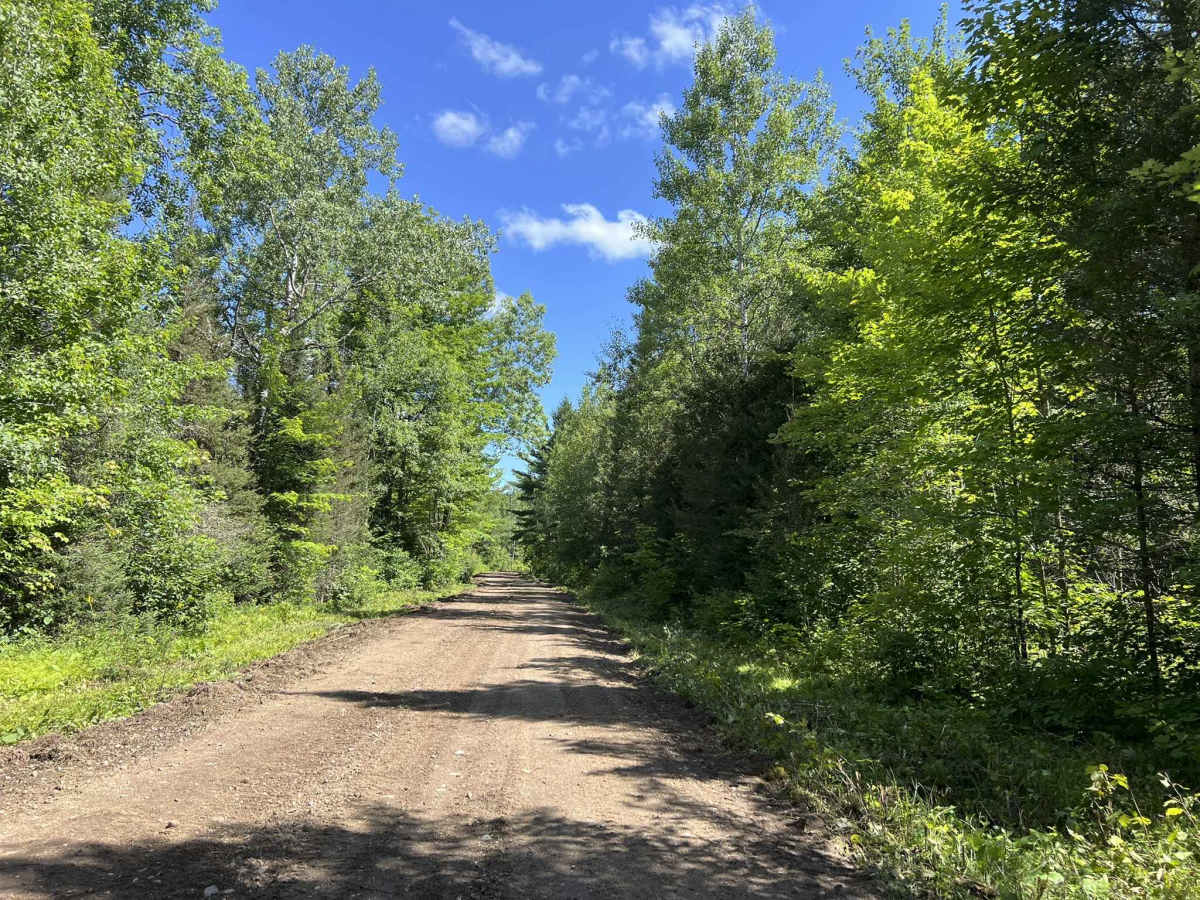 FS 2423 photo 3