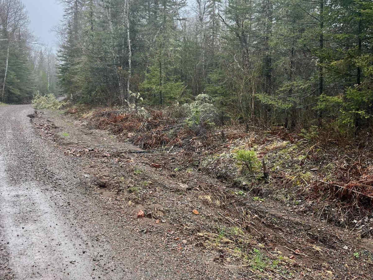 Ball Club Lake Road photo 4