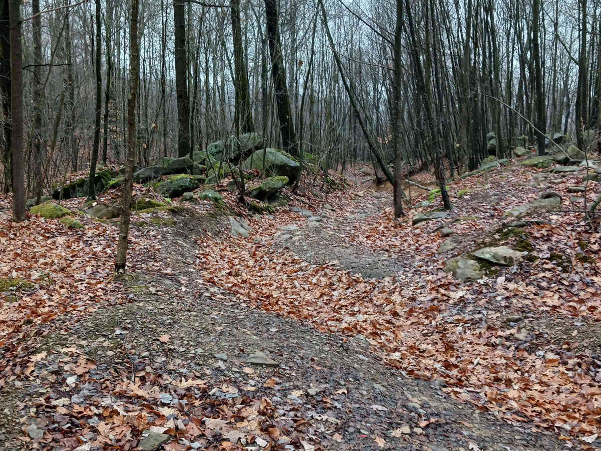OHV 26 - Rock Run Recreation Area photo 2
