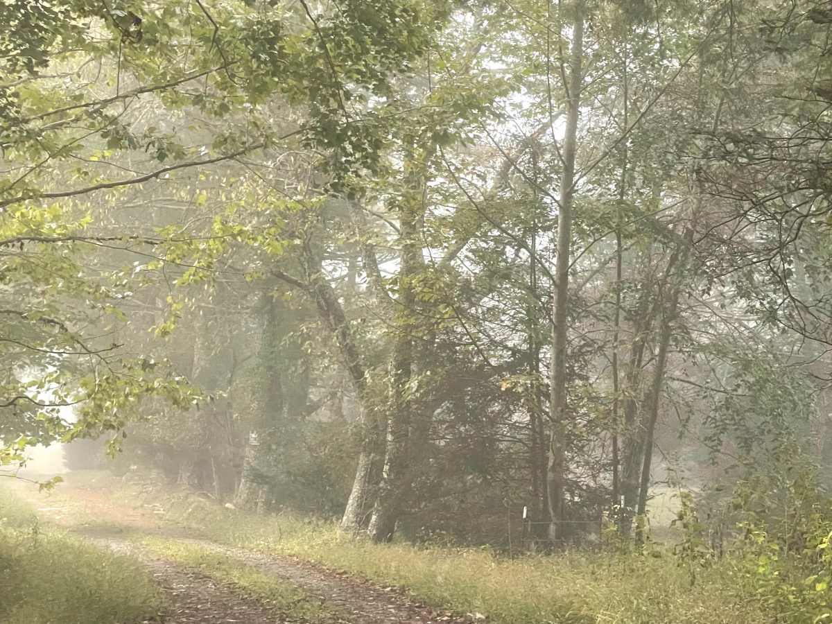 Long Ridge Road photo 5