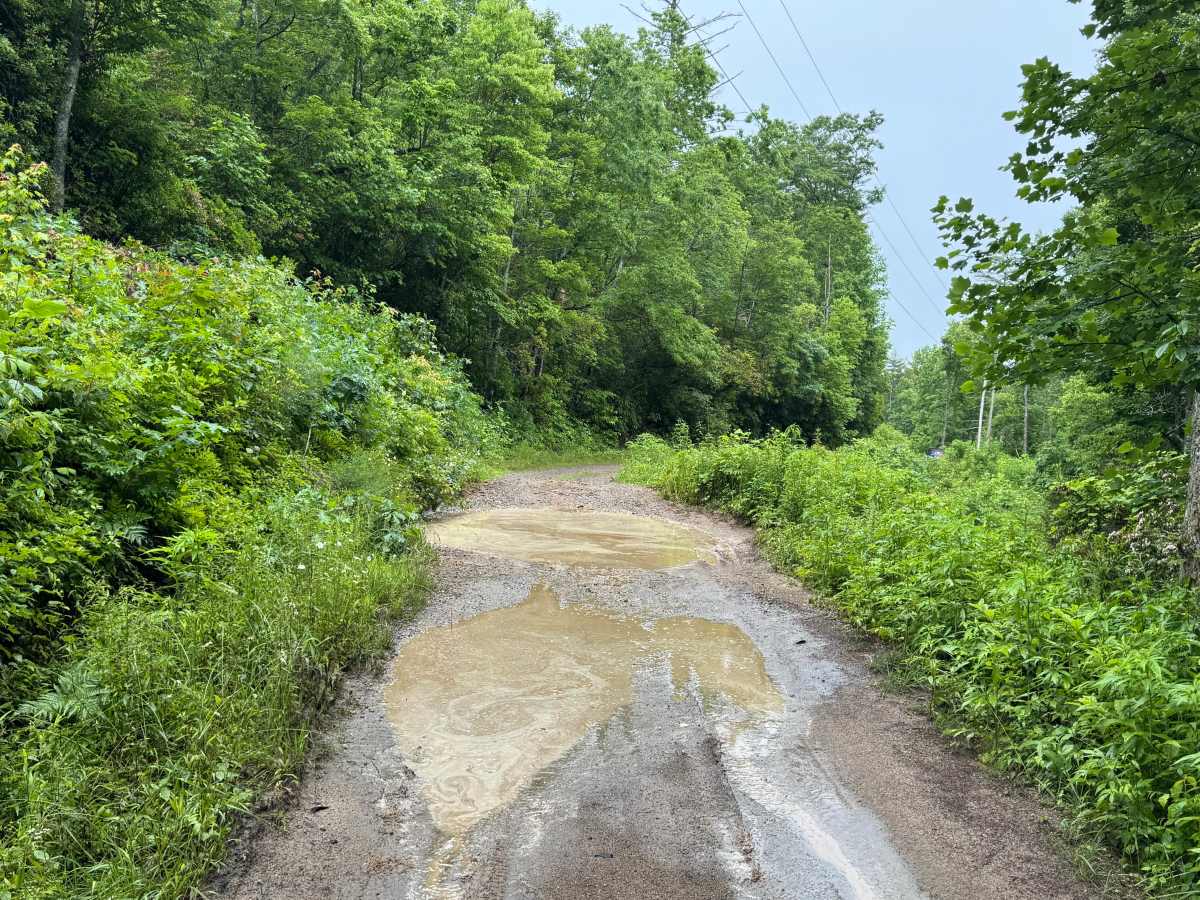 Charlies Creek Road photo 6