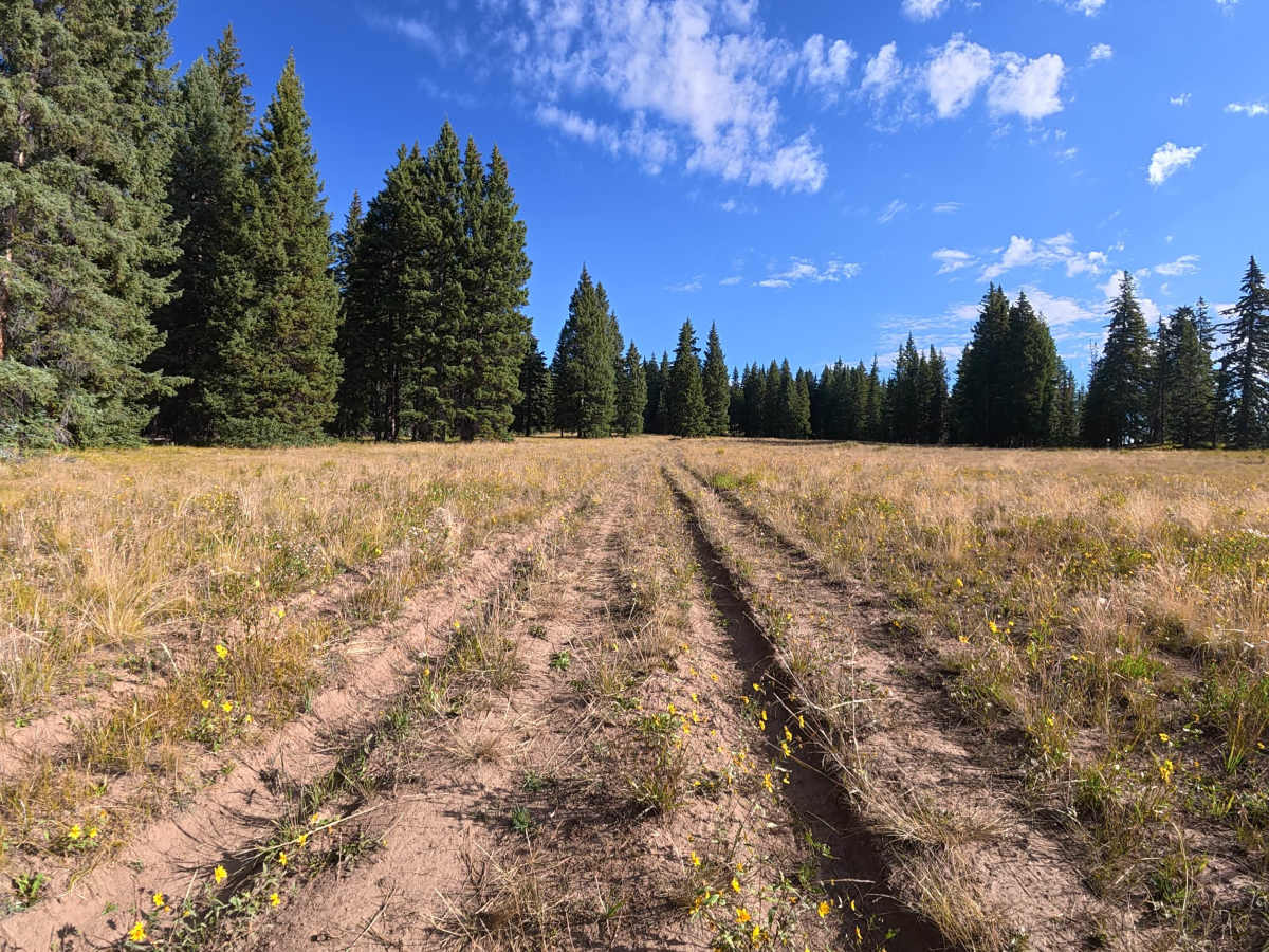 Burrow Mountain Road - FS 246 photo 4