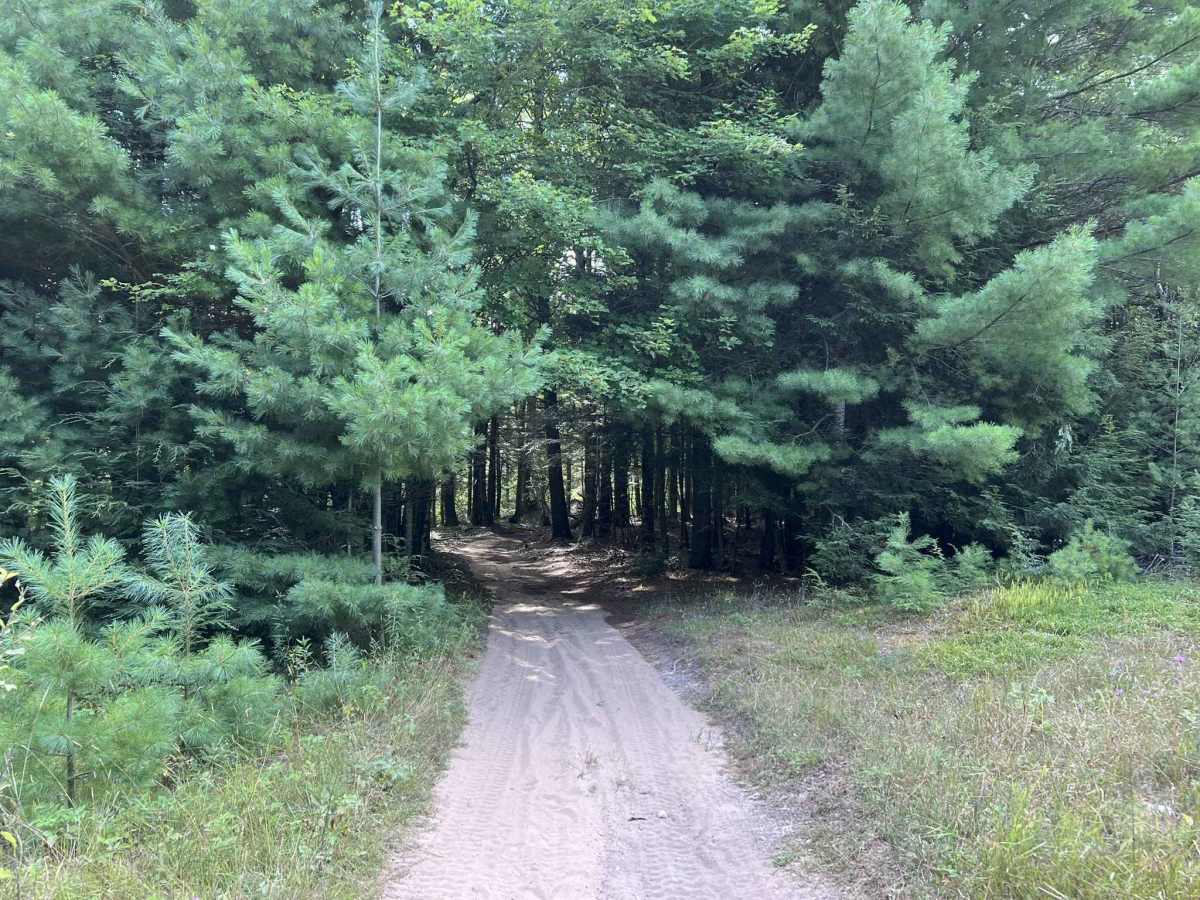 Fit East trail photo
