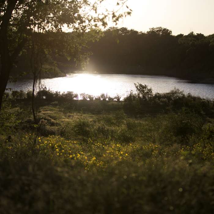 Near Lakeview Trail