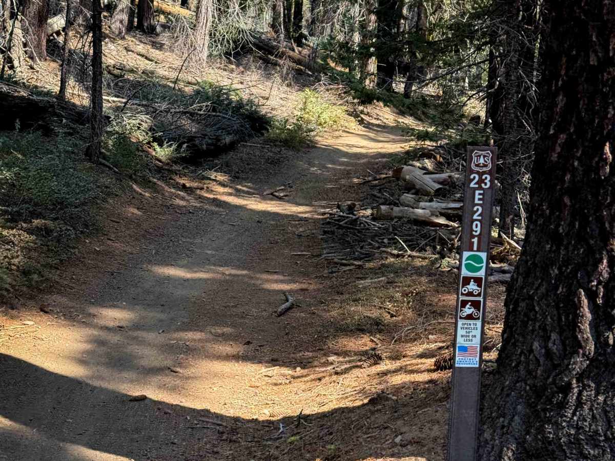 23E291 trail photo