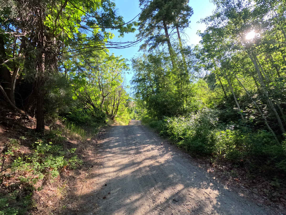 Steliko Ridge Road - FS 5310 photo 2