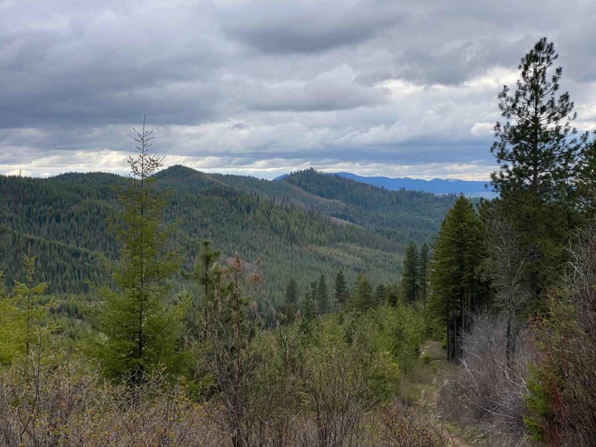Little Sand Mountain trail photo