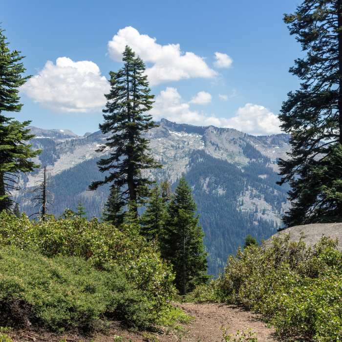 Near Paradise Peak Trail