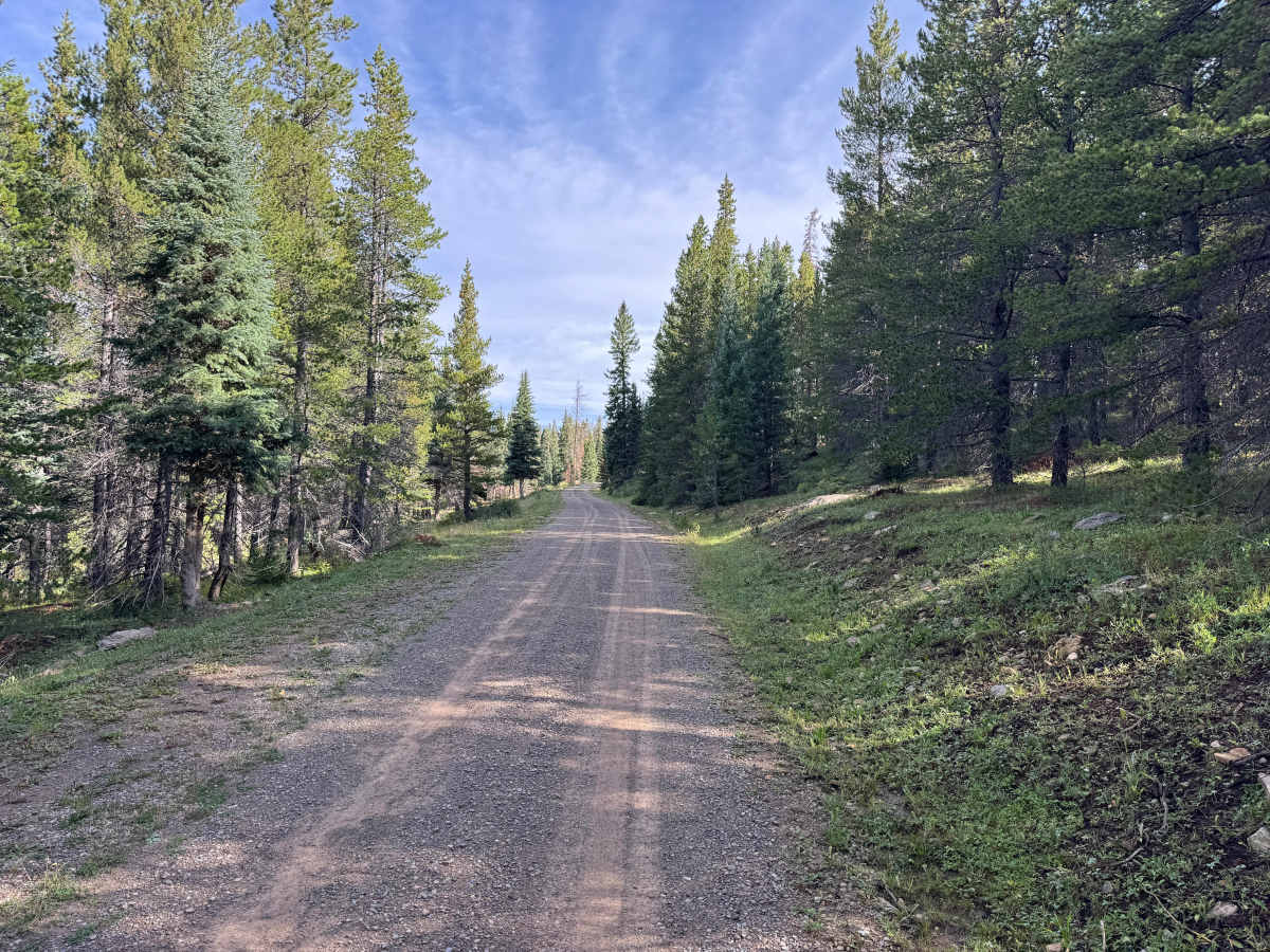 Taylor Mesa Road photo 5