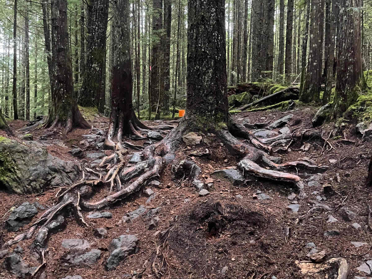Moto World trail photo