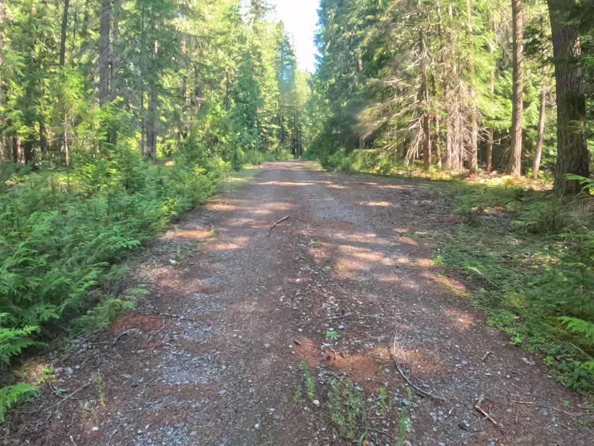 Upper Horn Creek - FS 2257-508 photo 6
