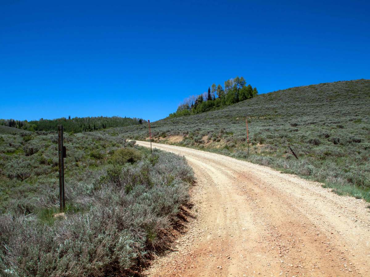 Buffalo Canyon - FS 70335 photo 2