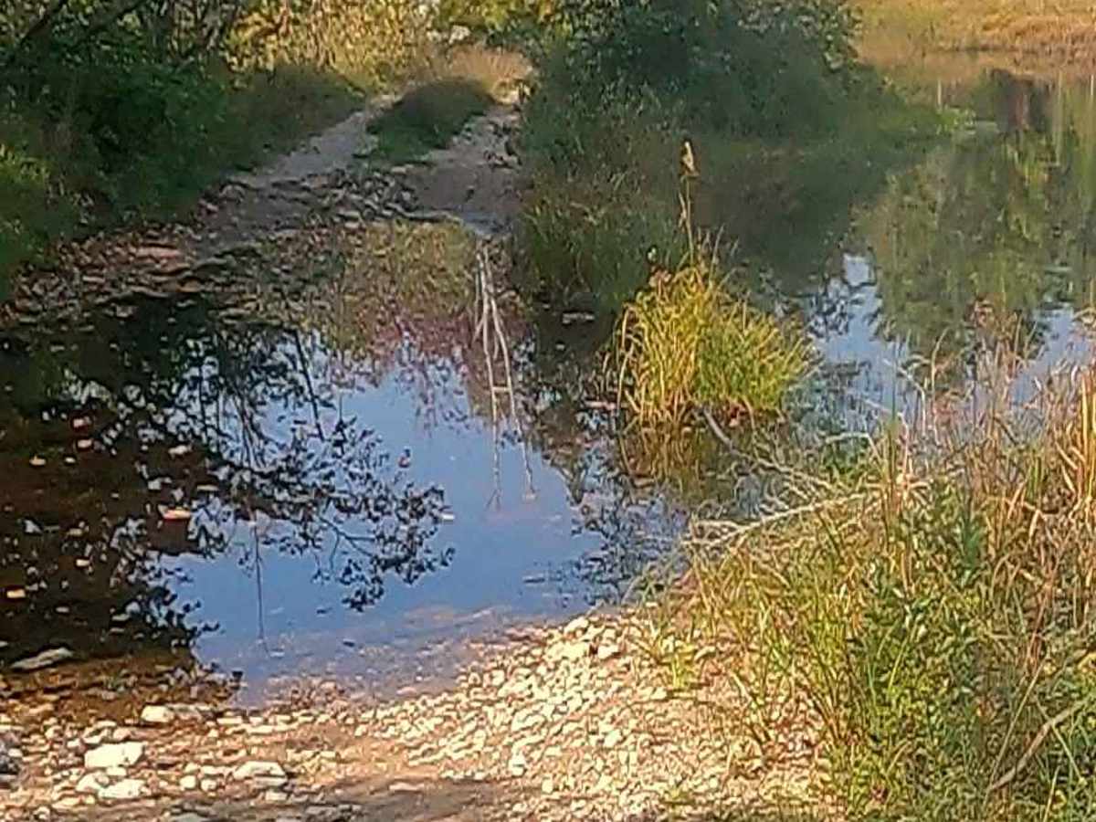 Tucker Lake Trail photo 5