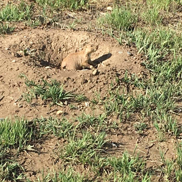 Near Coyote Ridge Trail