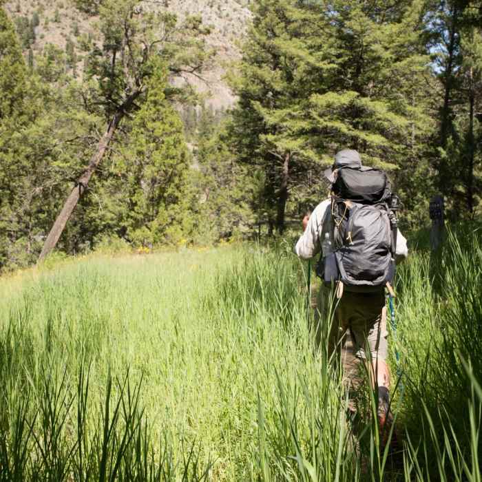 Near Black Canyon of the Yellowstone