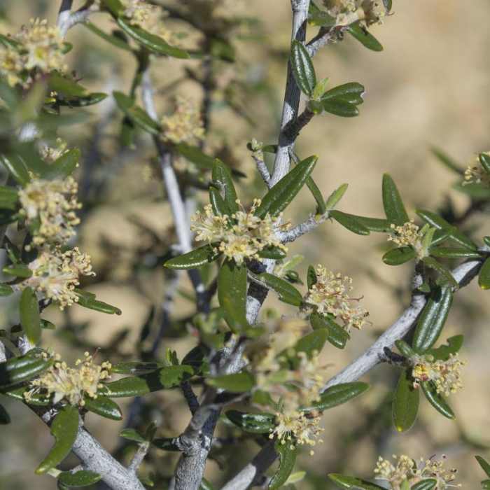 Near Juniper Gulch Near Juniper Gulch