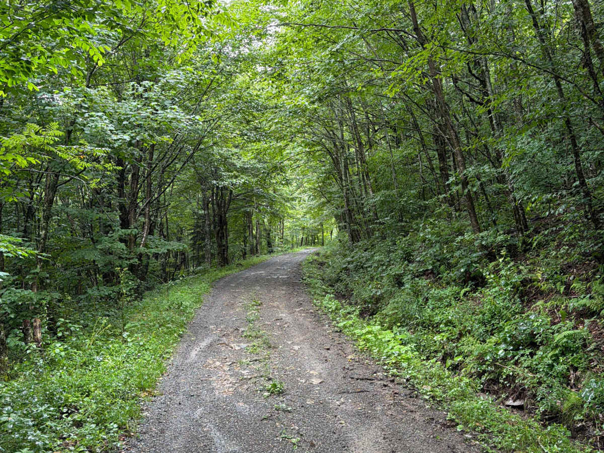Briery Run Road - CFR 29 photo 2
