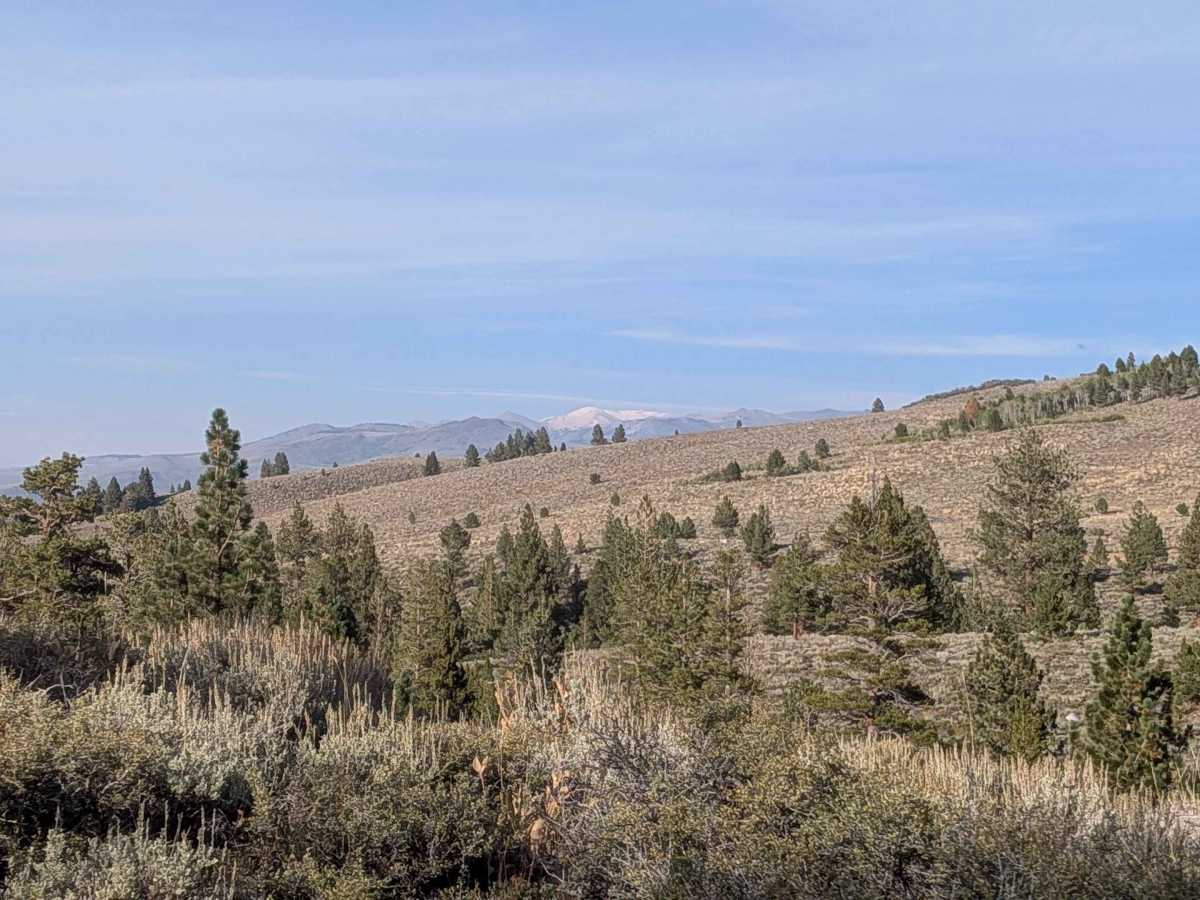 Little Walker Road - FS 22057 photo 5