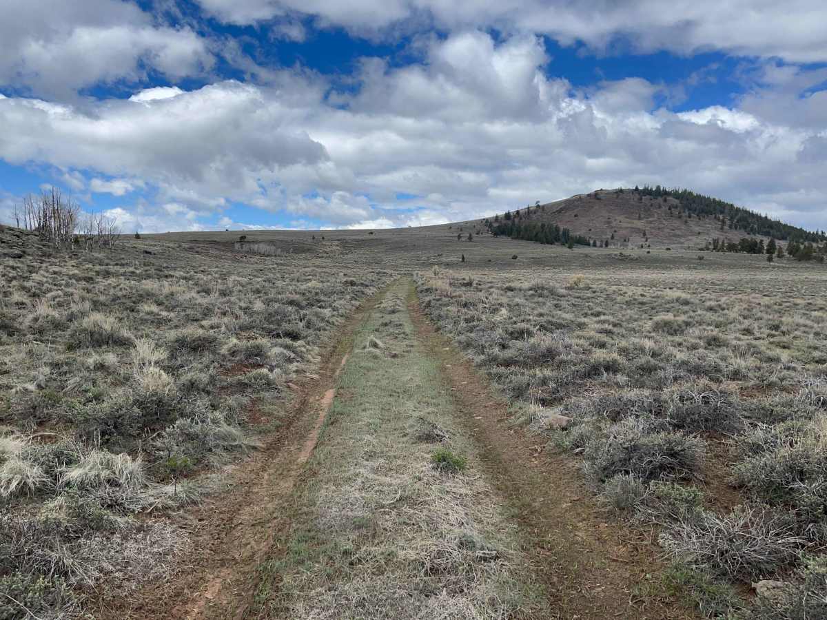 San Antonio Mountain Loop photo 4