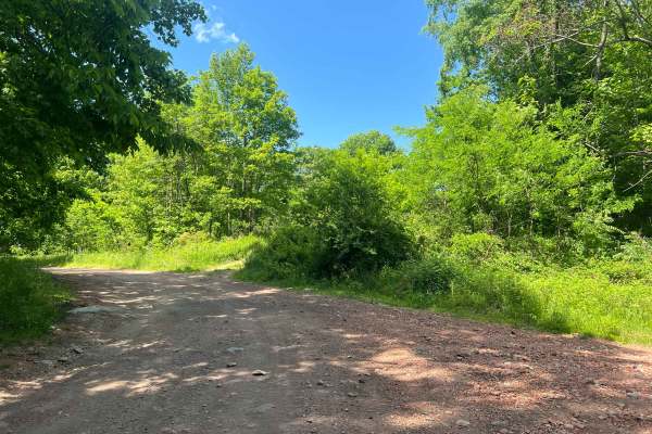 KC5 Five Mile Road