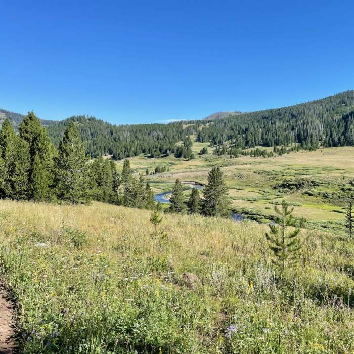 Near Continental Divide Trail: Wyoming Section 20 Near Continental Divide Trail: Wyoming Section 20